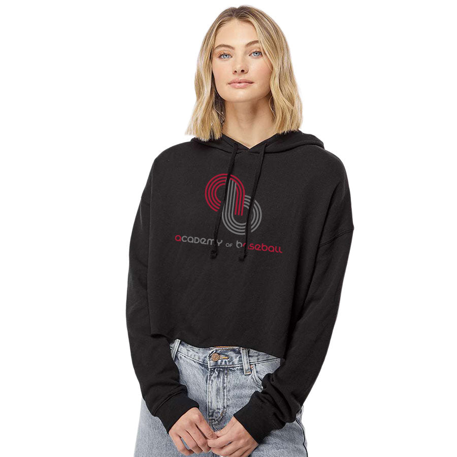 ACADEMY OF BASEBALL LOGO DISTRESSED - INDEPENDENT TRADING CO. CROP HOODED PULLOVER