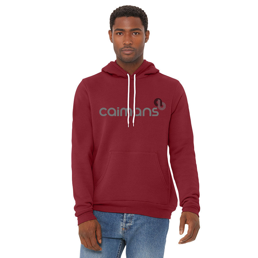ACADEMY OF BASEBALL CAIMANS SPONGE FLEECE PULLOVER HOODIE