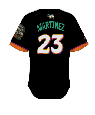 HAWKS CITY CONNECT II CITY CONNECT II STADIUM JERSEY
