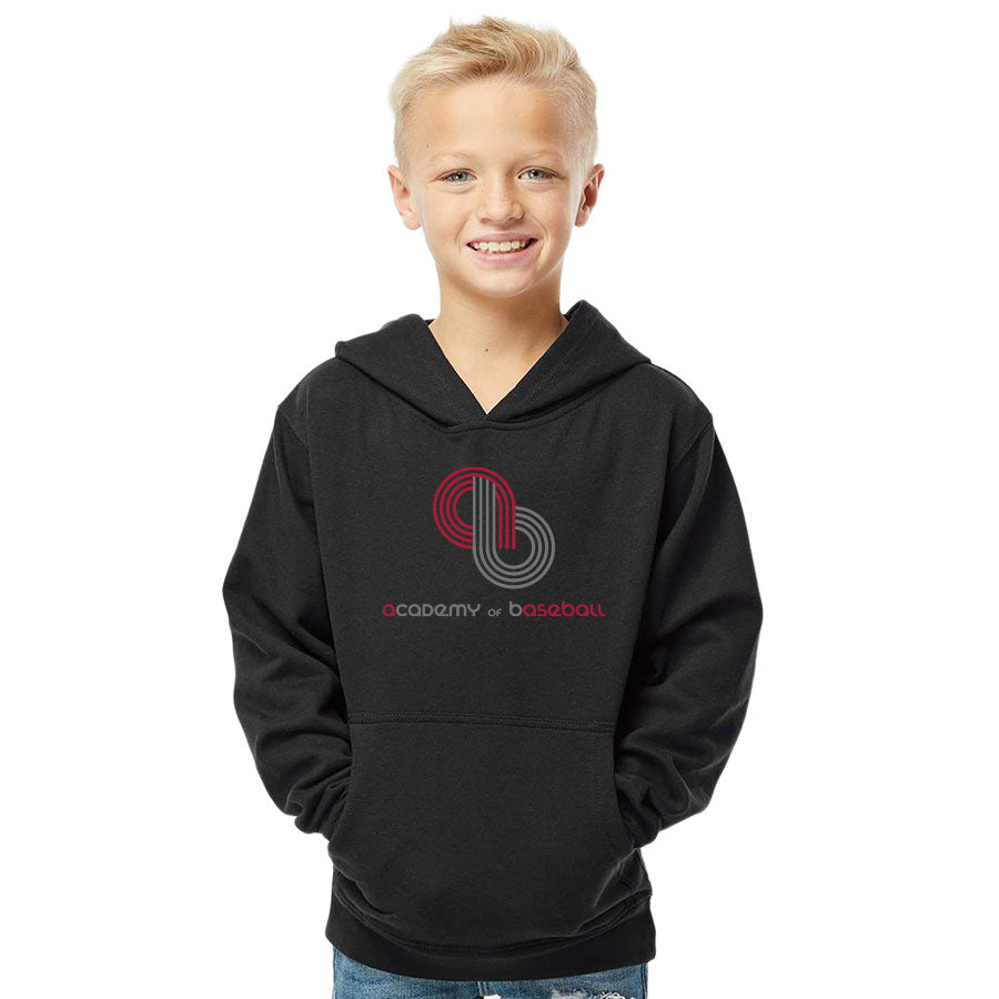 ACADEMY OF BASEBALL LOGO MIDWEIGHT HOODED SWEATSHIRT