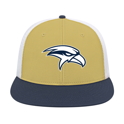 HAWKS BASEBALL FITTED LOGO CAP TEAM CAP 4